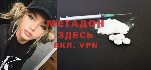 прущие грибы Абинск