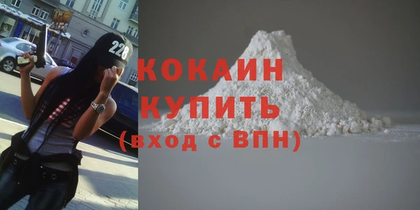 прущие грибы Абинск