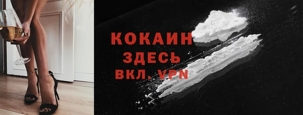 прущие грибы Абинск