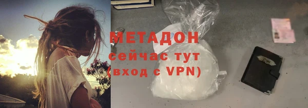 прущие грибы Абинск