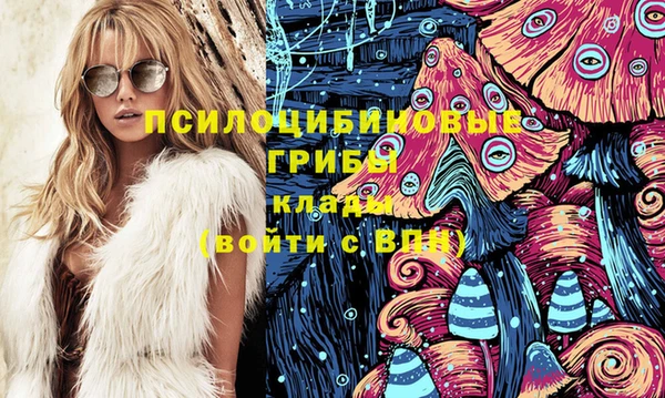 прущие грибы Абинск