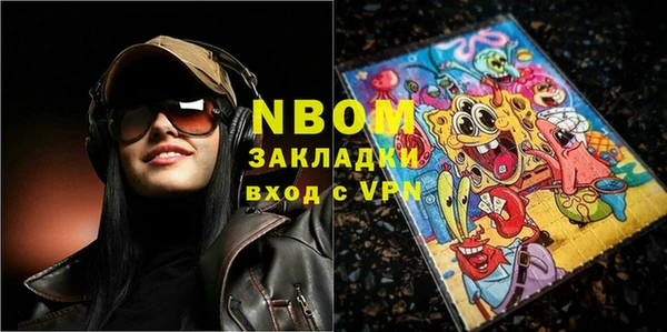 прущие грибы Абинск