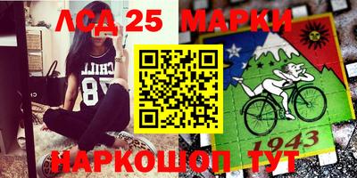 твердый Бийск