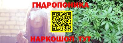 сатива Беслан