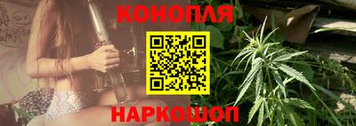 сатива Беслан