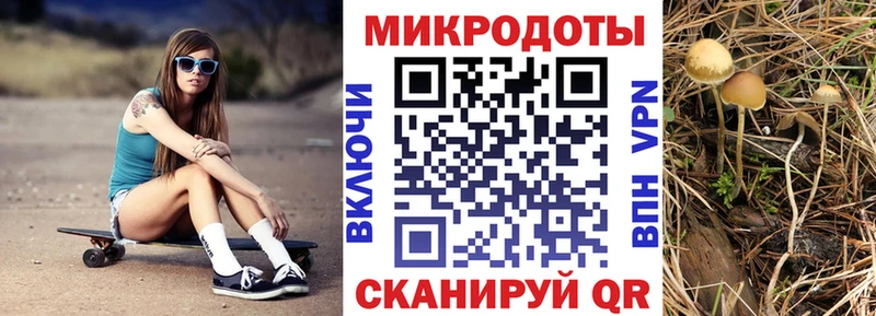 Псилоцибиновые грибы Cubensis наркошоп Ишимбай