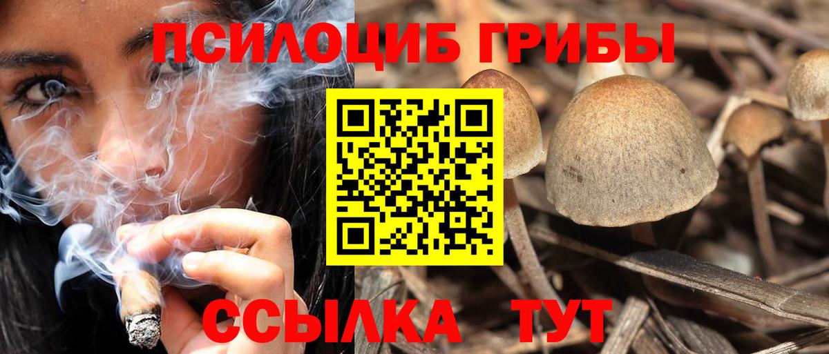 Псилоцибиновые грибы мухоморы  Вход с VPN  Ишимбай 